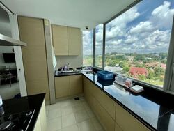 The Grange (D10), Condominium #569627171